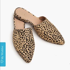 ABLE mules. Size 6.5. Never worn. Ordered the wrong size and can’t return.